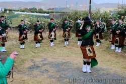 20100317172433-ie-achill-st_patricks_day-last_note-w